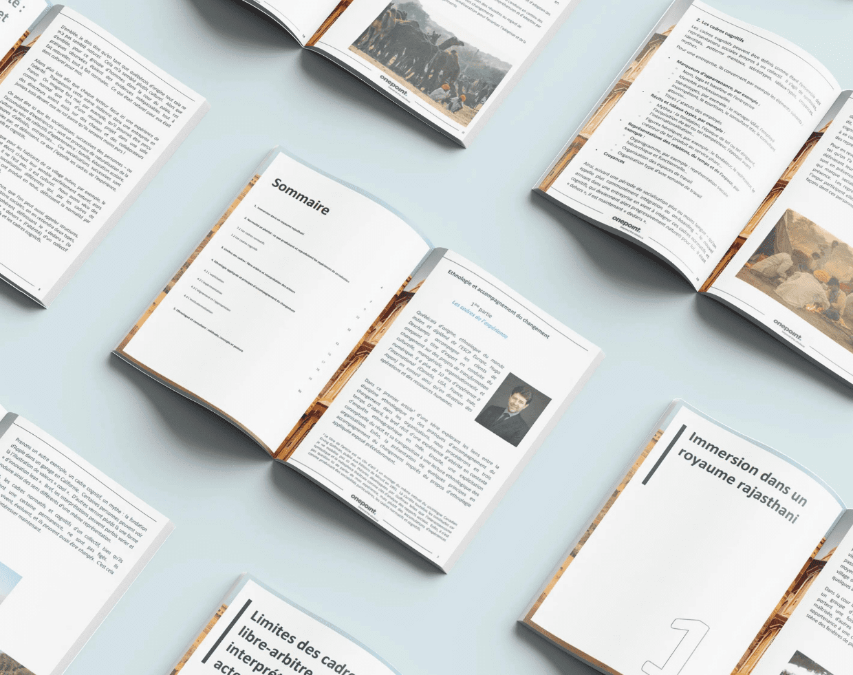 Livre blanc Ethnologie et accompagnement du changement