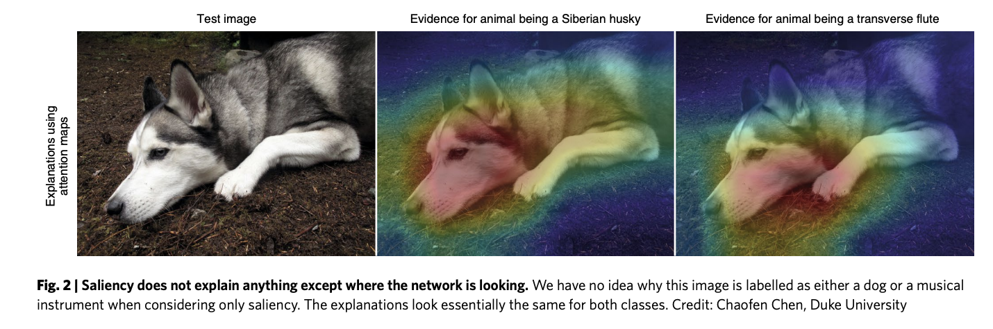 capture décran 2024 04 05 à 11.02.50