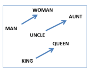 Figure 2 : la relation masculin féminin traduite par une translation dans l'espace de représentations.