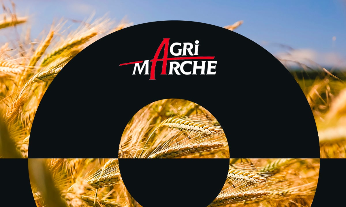 Le portail Agri-Accès accélère la transformation numérique de Agri-Marché - Wepoint
